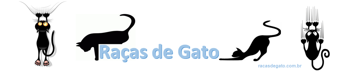 Raças de Gato